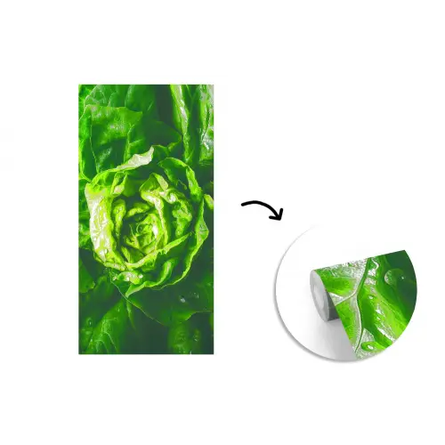 Groente - Sla - Groen fotobehang vinyl groot -3d