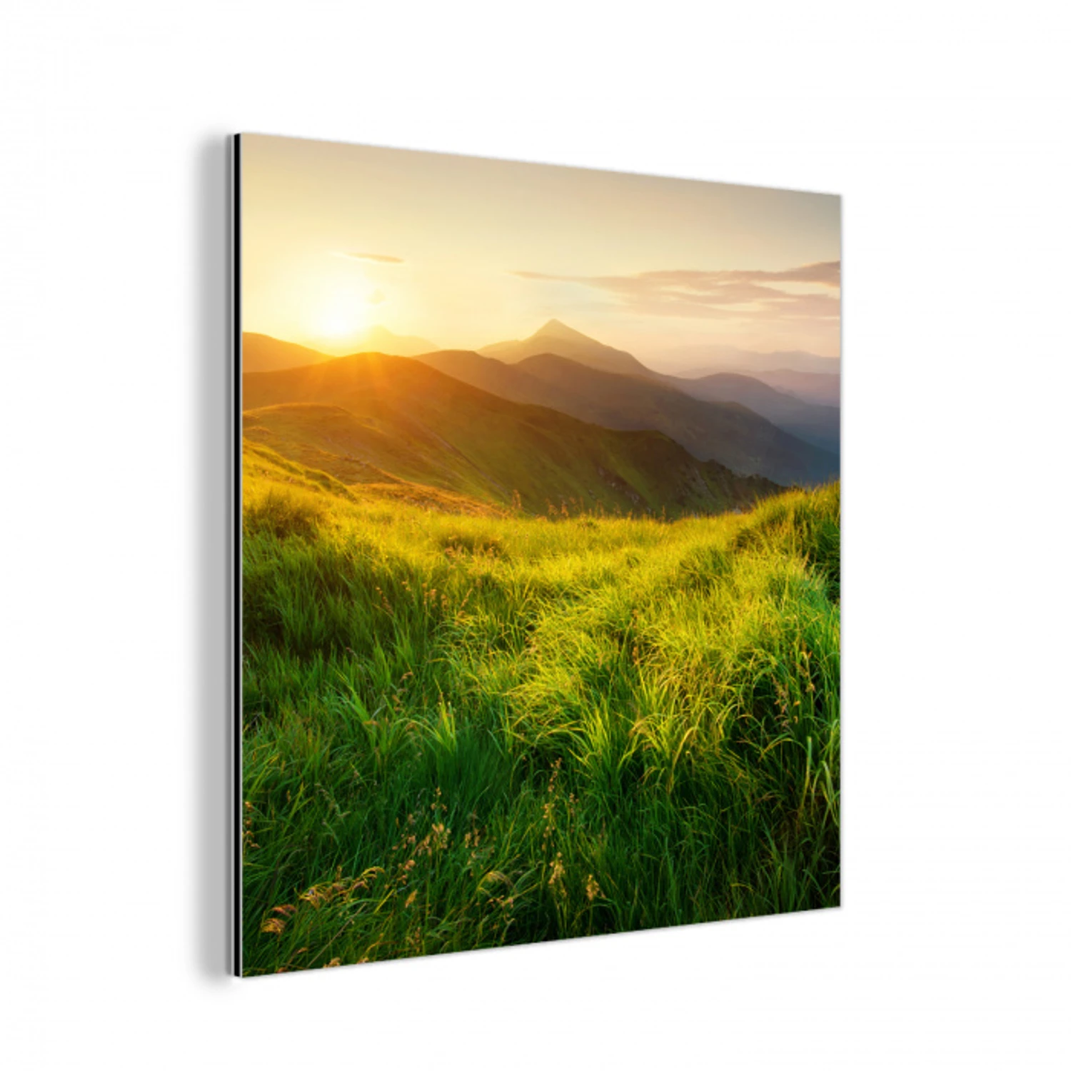 Gras - Heuvels - Zon - Natuur aluminium wit klein -3d