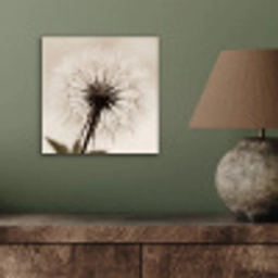 Paardenbloem - Minimalistisch - Wit aluminium wit klein -sfeer2