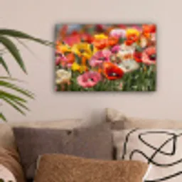 Bloemenveld - Klaprozen - Kleurrijk canvas 2cm klein -sfeer1