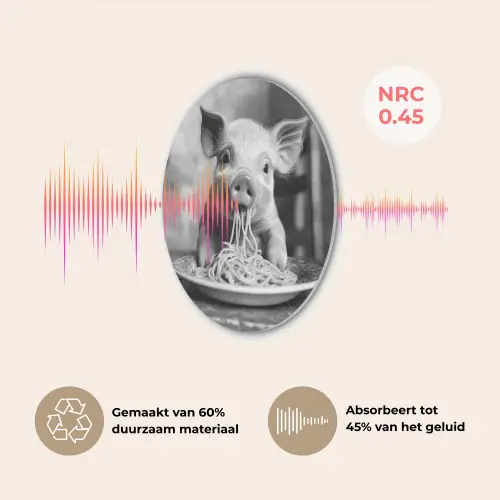 Varken - Schattig - Spaghetti - Zwart wit - Dier Akoestische PET Vilt - Rond klein -USP_NL