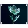 Bladeren - Bloem - Glazen - Donkerblauw tuinposter los doek klein -3d