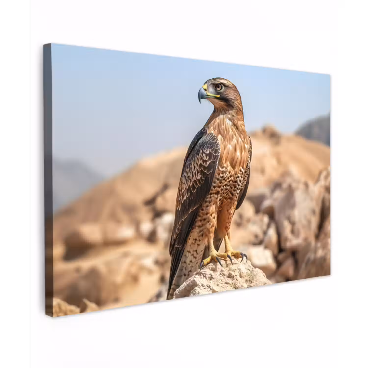 Canvas schilderij - Valk - Vogel - Rots - Macht