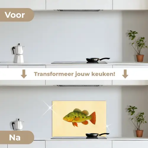 Schubben - Vis - Groen - Illustratie keuken achterwand spatscherm klein -voor_na_NL