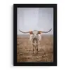 Longhorn - Grasveld - Dier fotolijst zwart zonder passe partout klein -3d