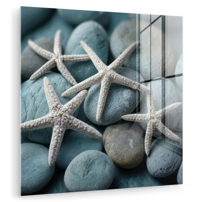 Zeesterren - Stenen - Wit plexiglas 5mm klein -zzzproduct_nieuw