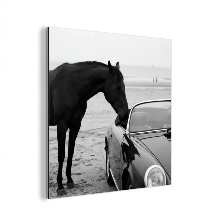 Paard - Auto - Zwart - Wit aluminium wit klein -3d