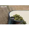 Eikenboom - Groen - Lichte achtergrond Placemat vinyl groot -closeup
