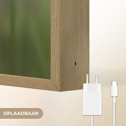 Bloem - Gladiolen - Zalmroze Light Box met batterij (Wandlamp) middel -USP_websiteoplaadbaarNL