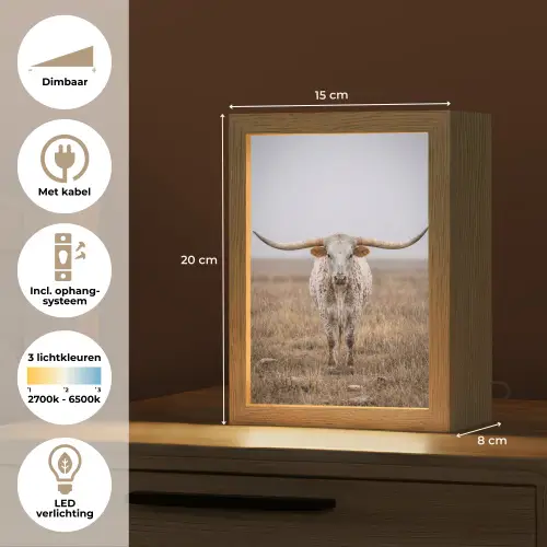 Longhorn - Grasveld - Dier Light Box met kabel (Tafellamp) klein -USP_NL