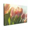 Tulpen - Roze - Zonnestralen canvas 2cm klein -z3d