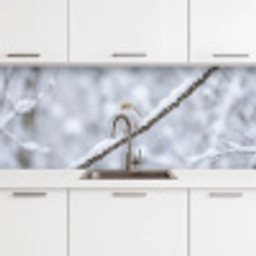 Vogeltje - Sneeuw - Tak - Winter - Zacht keuken achterwand 2 middel -3d