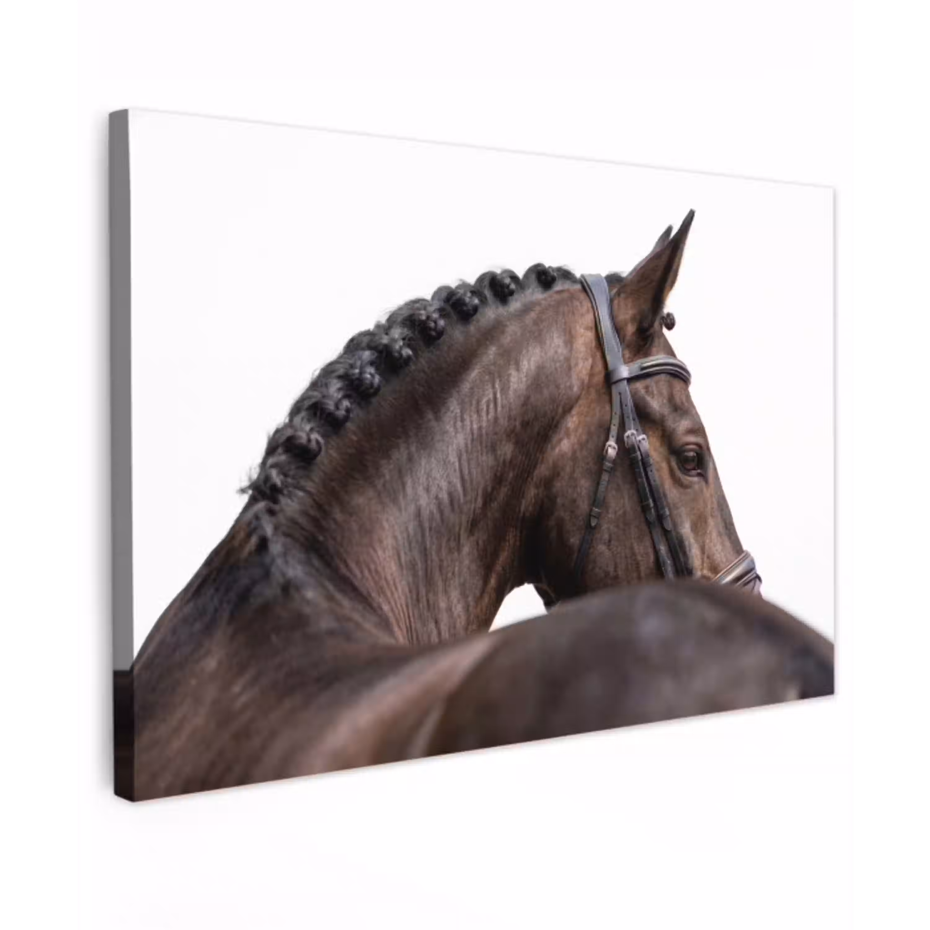 Portret - Paard - Elegant Tuinposter op houten frame 2 cm dik klein -3d