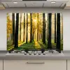 Bos - Zon - Bomen - Gras - Landschap  - Natuur keuken achterwand spatscherm klein -3d_website