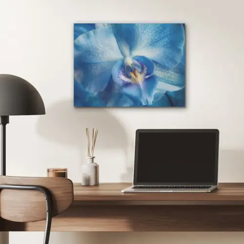 Blauw - Orchidee - Elegeant PET vilt klein -sfeer5