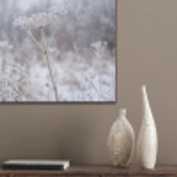 Schermbloem - Rijp - Kristallen - Winter - Delicaat PET vilt klein -sfeer6_closeup