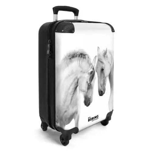 Sympathiek span Koffer - NBS - Handbagage middel -productfoto_3d