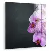 Orchidee - Bloemen - Roze - Flora plexiglas 5mm klein -zzzproduct_nieuw