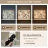 Vogel - Tak - Bloemen - Oranje Light Box met batterij (Wandlamp) middel -USP_lichtkleurNL