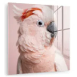 Kaketoe - Portret - Roze plexiglas 5mm klein -zzzproduct_nieuw