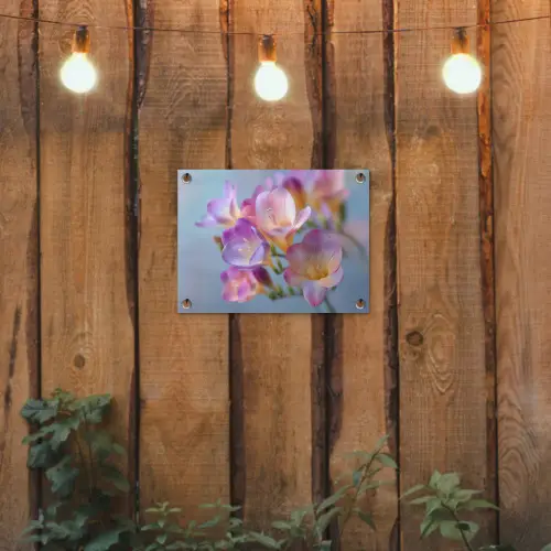 Bloemen - Paars - Overloop - Meeldraden tuinposter los doek klein -sfeer1