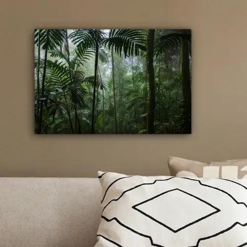Regenwoud - Tropisch - Jungle - Bomen - Planten canvas 2cm klein -sfeer3
