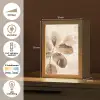 Gedroogde plant - Natuur - Bruin - Planten Light Box met kabel (Tafellamp) klein -USP_NL