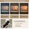Felgekleurd - Bloemblaadjes - Abstract Light Box met batterij (Wandlamp) middel -USP_lichtkleurNL
