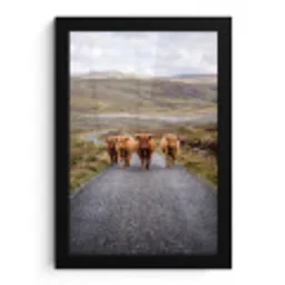 Schotse Hooglanders - Weg - Landschap - Kudde fotolijst zwart zonder passe partout klein -3d