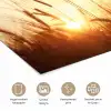 Riet - Gras - Zonsondergang - Natuur - Horizon poster papier klein -closeup_NL