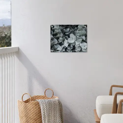 Natuur - Planten - Eucalyptus - Bladeren tuinposter los doek klein -sfeer8