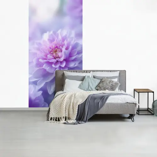 Paars - Dahlia - Dromerig fotobehang vinyl groot -slaapkamer