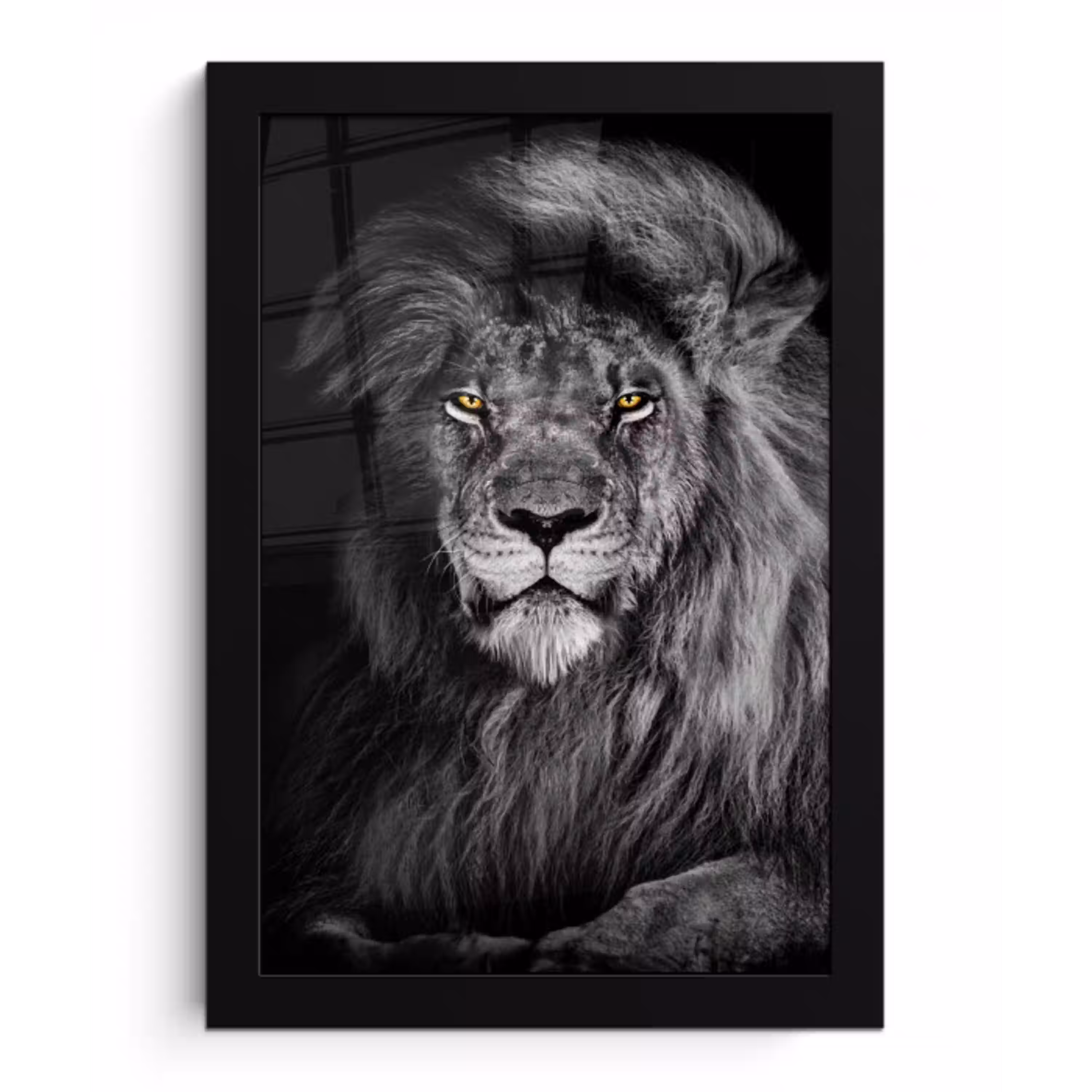 Leeuw - Ogen - Oranje - Zwart wit - Dieren - Portret fotolijst zwart zonder passe partout klein -3d