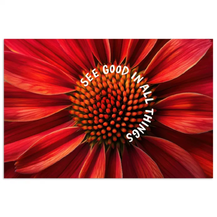 Close up - Bloem - Quote - Rood poster papier klein -3d