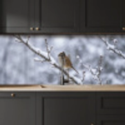 Vogel - Tak - Sneeuw - Winter keuken achterwand 2 middel -sfeer1
