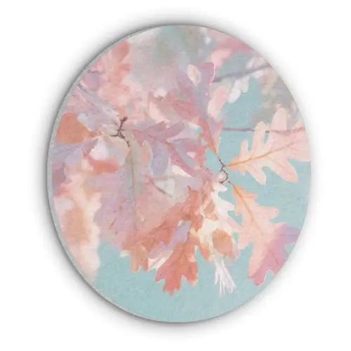 Eikenbladeren - Takken - Roze Akoestische PET Vilt - Rond klein -3d