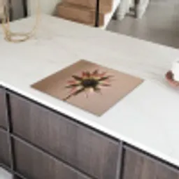 Droogbloem - Protea - Vintage - Beige - Rustiek Inductie beschermer vinyl 3mm middel -sfeer8