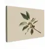 Tak - Groene Bladeren - Vruchten canvas 2cm klein -z3d