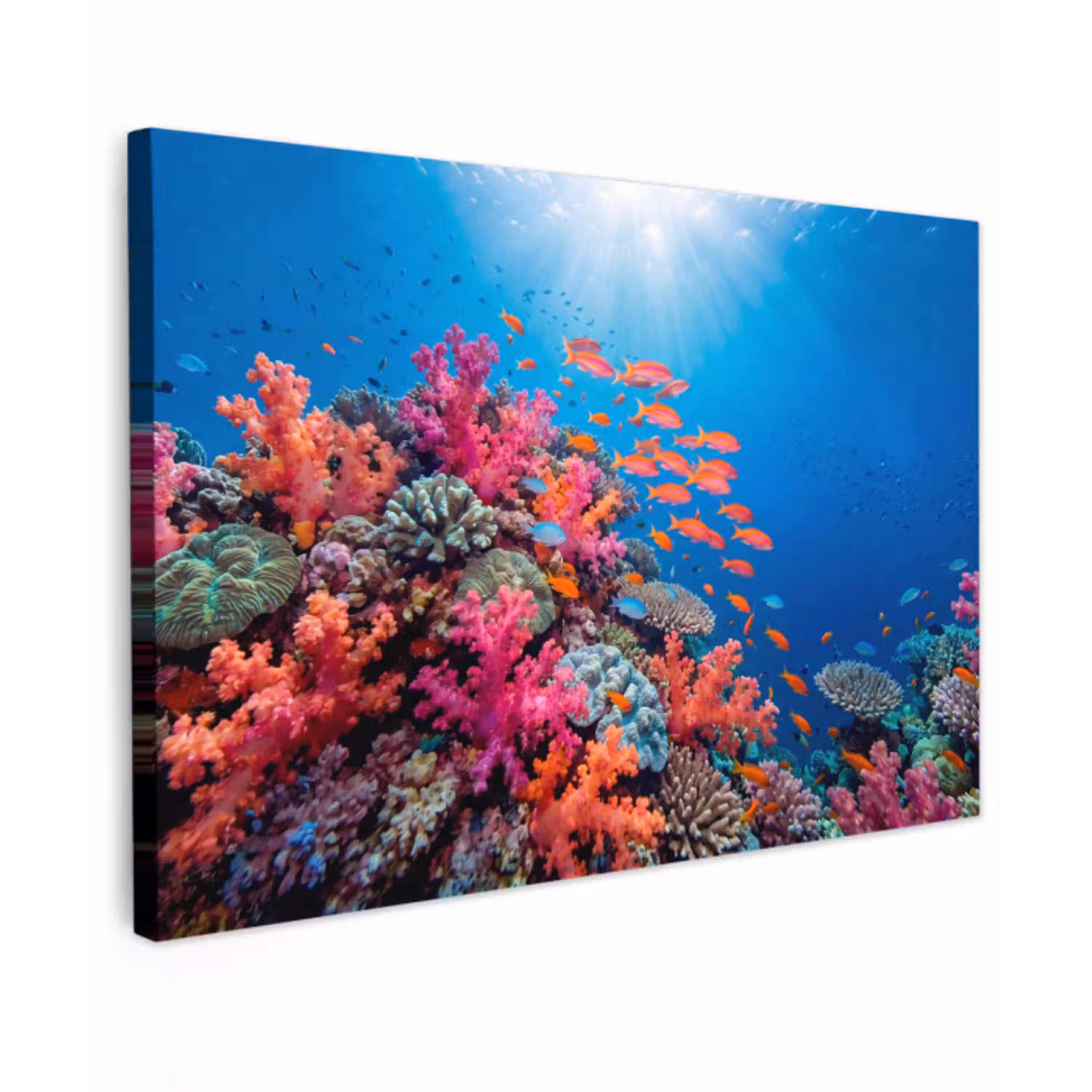 Onderwater - Koraalrif - Vissen - Oceaan - Natuur Tuinposter op houten frame 2 cm dik klein -3d