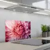 Dahlia - Bloem - Close up - Roze keuken achterwand spatscherm klein -3d_schuin