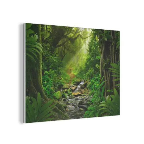 Jungle - Water - Bladeren - Zon - Natuur PET vilt klein -3d