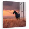 Paard - Wolken - Open veld plexiglas 5mm klein -zzzproduct_nieuw