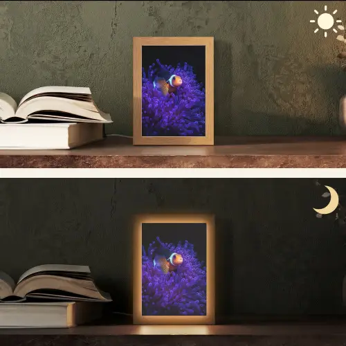Koraal - Vis - Oranje - Zee Light Box met kabel (Tafellamp) klein -sfeer3