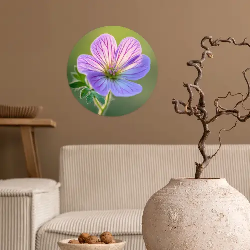 Bloem - Close up - Paars Wandcirkel behangsticker klein -sfeer1