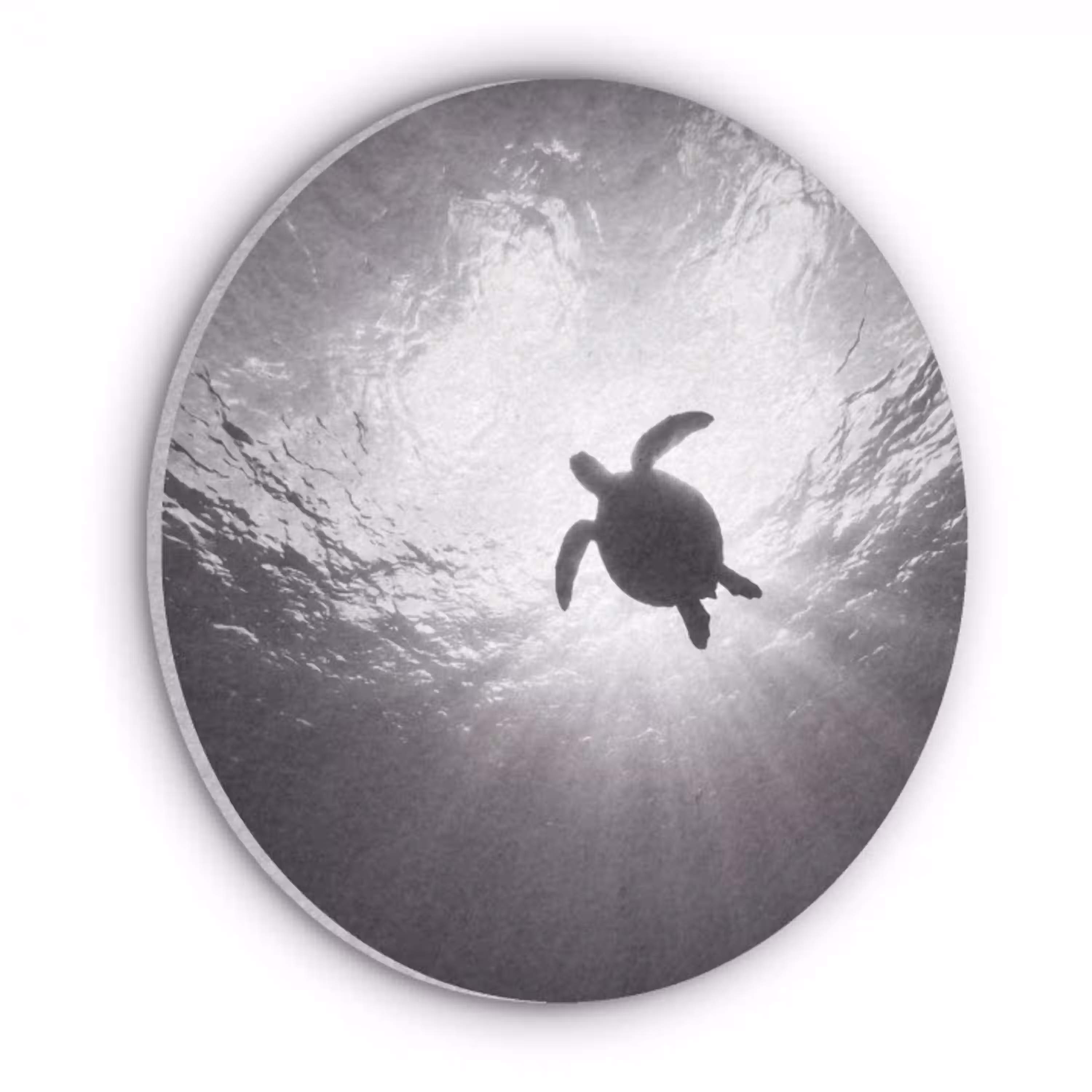 Schildpad - Onderwater - Lichtstralen - Oceaan - Zwart-wit Akoestische PET Vilt - Rond klein -3d
