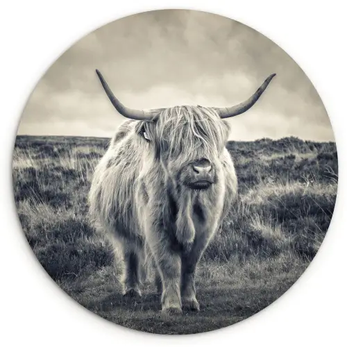 Schotse hooglander - Dieren - Wolken - Koe - Natuur Wandcirkel kunststof plaat 5mm dik klein -3d