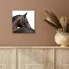 Portret - Paard - Elegant aluminium wit klein -sfeer4