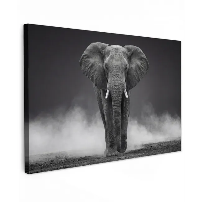 Buiten canvas - Olifant - Zwart - Wit - Rook