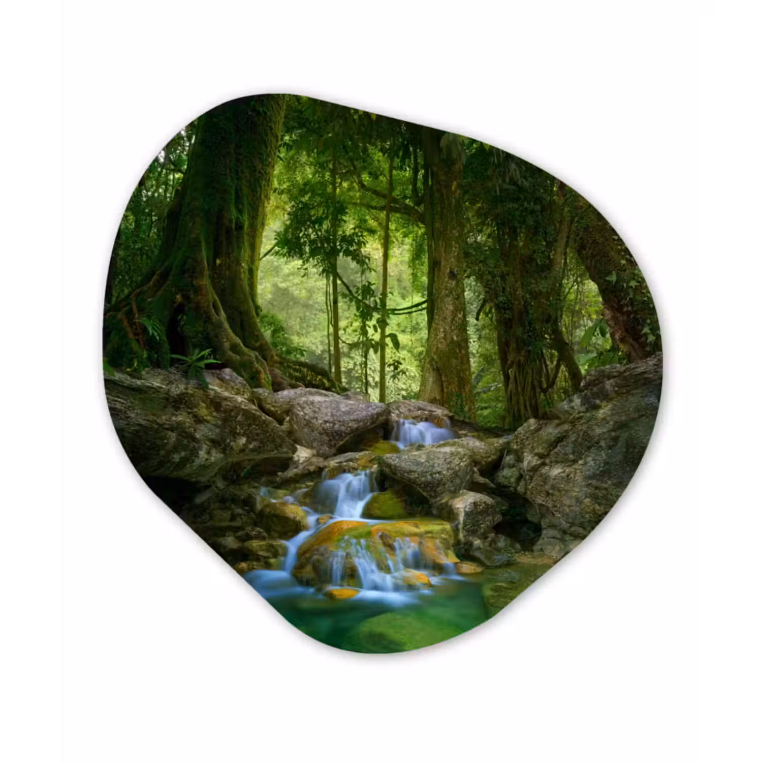 Organische Formen – Aluminium – Jungle - Stenen - Water - Natuur - Planten
