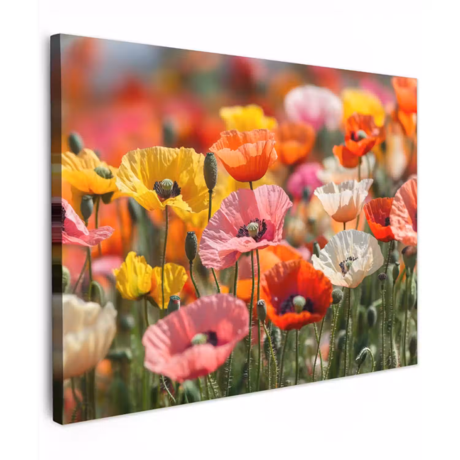 Canvas schilderij - Bloemenveld - Klaprozen - Kleurrijk